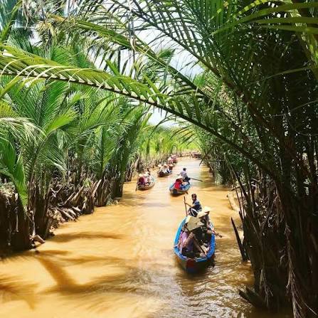 Bỏ túi ngay Kinh nghiệm đi Cồn Phụng - Cồn Thới Sơn tự túc