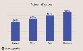 Aditya birla health insurance co. Choose Among Bronze Silver Gold And Platinum Health Plans