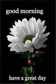 Good Morning (With images) | Good morning greetings