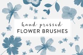 Flower photoshop brushes are simple instruments that help make photos and designs more beautiful, bright and unusual. Pressed Flowers Photoshop Brushes Unique Photoshop Add Ons Creative Market