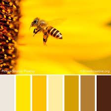 Color Palettes For Design Inspiration Mill Creek Creative Spring Color Palette Summer Color Palettes Color Palette Yellow