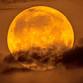 Moonlit WildSpa — Westerlands event image