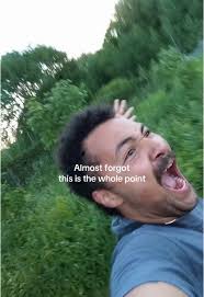 Almost Forgot This Was The Whole Point Forest