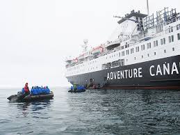 A Summer Cruise In The High Arctic Gonomad Travel