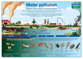And by any chance, if we come across one, it is sure that the water body might be polluted with some or other things. 38 Water Pollution Ideas Water Pollution Pollution Water