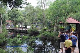 We did not find results for: 4x4 Roadtrip To Southern Thailand Sungai Golok Narathiwat 70km Part 1