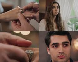 Yali Capkini English Subtitles Fans