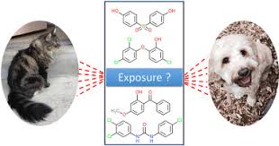 How do i know i can trust these reviews about banfield pet hospital? Biomonitoring Of Exposure To Bisphenols Benzophenones Triclosan And Triclocarban In Pet Dogs And Cats Sciencedirect