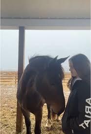 soaking in my last couple of weeks with my best friend :) #horses #ariat