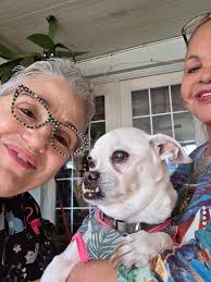 At home pet grooming services available