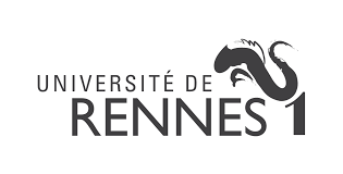 We did not find results for: Classement Master Universite De Rennes 1 N 17 Au Classement Masters Banque Finance Master Ingenierie Economique Et Financiere