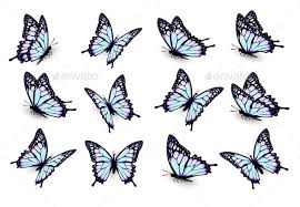 Collection Of Blue Butterflies Vector Blue Butterfly Tattoo Butterfly Drawing Butterfly Outline
