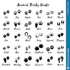 Illustration About Animal Tracks Foot Print Guide Vector Art Illustration Of Duck Chicken Collection Animal Footprints Animal Tracks Animal Print Tattoo