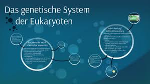 Maybe you would like to learn more about one of these? Das Genetische System By Michelle B On Prezi Next