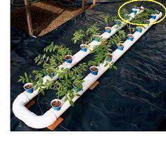 Homemade Hydroponics System This Is A Self Contained Hydroponic System With The Reservoir Pump And A Homemade Hydroponics Hydroponics Diy Hydroponic Growing