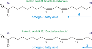Omega-3 fatty acids @ Chemistry Dictionary & Glossary