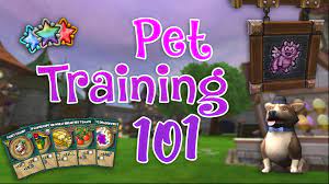 However that extra experience to epic, mega etc is a bitch. Wizard101 Pet Training Guide Ravenwood Academy