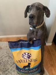 Wondering how it's possible to give your great dane the most awesome dog food or puppy food for the happiest and healthiest possible life? The Best Dog Food For Great Danes It S Probably Not What You Think