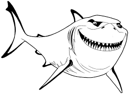 How To Draw Bruce From Finding Nemo With Simple Steps Lesson How To Draw Step By Step Drawing Tutorials Drawings Disney Drawings Animal Drawings