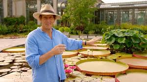 Why A Gardening Show Had Me In Tears The Impatient Gardener Monty Don How To Do Yoga Garden Styles