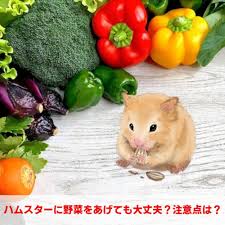 ペットスマイルニュース