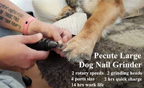 Once the length and shape are right, polish each nail by moving the grinder in a circular motion around the tip. Amazon Com Pecute Large Dog Nail Grinder 2 Speeds 14h Working Time 50db Ultra Quiet Rechargeable Electric Dog Nail Trimmer For Paw Grooming Gentle And Painless Nail Clippers For Medium And Large Dogs