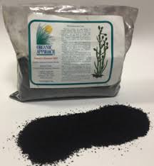 Soluble kelp is a highly effective natural plant fertilizer and organism food that enhances seed germination, promotes healthy root development, increases disease resistance, and accelerates leaf shoot and stem development. Soluble Seaweed Powder