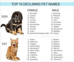 Some of the name pairs are good for boy/girl, two girls, two boys, or unisex names. Top 10 Least Trendy Dog And Cat Names