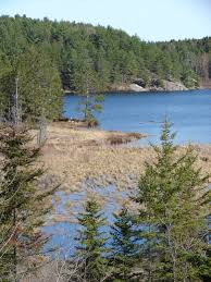 Check spelling or type a new query. Canadian Shield Canadian En Environmental Science Shield Studies Weather Glogster Edu Interactive Multimedia Posters