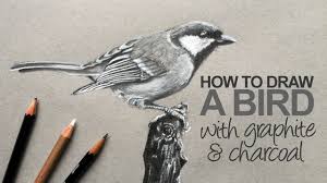 How To Draw A Realistic Bird Youtube I show you how to draw realistic feathers and explain the technique i use for drawing birds. how to draw a realistic bird