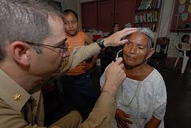 Image result for Nicolasia