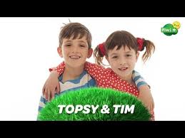 Les épisodes de topsy et tim. La Chanson Du Generique De Topsy Et Tim Ton Dessin Anime Sur Piwi Youtube