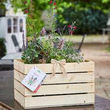 Dort verbringen sie ihre zeit, um sich vom anstrengenden alltag zu erholen. Die Besten Geschenke Fur Gartenliebhaber Geschenkezapp