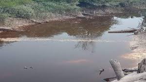 Mahakam merupakan nama sebuah sungai terbesar di provinsi kalimantan timur yang bermuara di selat makassar. Ramdali Sesalkan Sungai Jentawang Tercemar Aktivitas Ilegal Fishing Halaman All Tribun Pontianak
