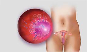 Despre dezvoltarea fatului, durerile si simptomele din sarcină, creșterea în. Simptome Sarcina Copilul Ro