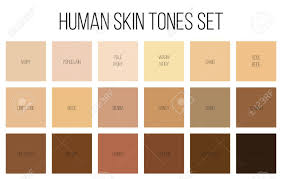 Creative Vector Illustration Of Human Skin Tone Color Palette