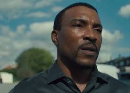 Flash/Arrow' Spinoff Casts Ciara Renée as 'Hawkgirl'