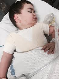 Donna Truscott's Instagram, Twitter & Facebook