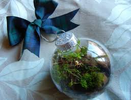 Diy How To Make A Terrarium Christmas Ornament Diy Christmas Baubles Terrarium Diy Terrarium