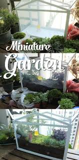 Miniature Garden Ikea Glasshouse Ikea Garten Ikea Gewachshaus Garten