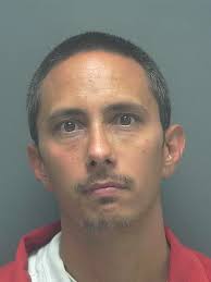 Lee County Arrests 5/29