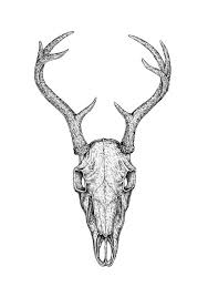 Black And White Deer Skull Eugenia Hauss Deer Skull Drawing Bull Skull Tattoos Deer Skull Tattoos