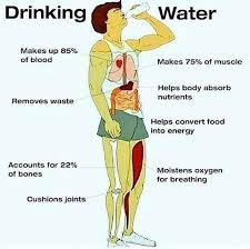 Drinking Water