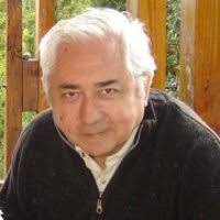 María Belén Morris