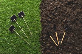 The flexi curve border is designed to bend to your garden's shape and to suit the curves of your flowerbeds and areas that need bordering. Rubber Garden Edging Types Cost Tips And Pictures Garden Tabs