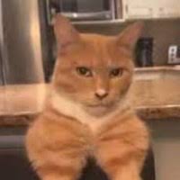 50+ "Jared Figueroa" profiles