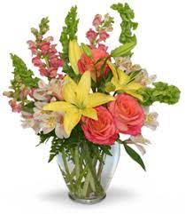 We deliver to all of nashua and the surrounding areas, including amherst, brookline, hollis, hudson, litchfield, merrimack, milford, and order with confidence. Find A Real Local Florist In The Us Canada Flower Shop Network