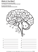 Coloring pages 35 brain coloring page picture inspirations. Coloring Pages And Worksheets Ask A Biologist