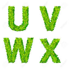 Four is the only number that, spelled out, has as many letters. Abc Grass Leaves Letter Number Elements Modern Nature Placard Lettering Leafy Foliar Deciduous Vector Set U V W X Leaf Leafed Foliated Natural Letters Latin English Alphabet Font Collection Royalty Free Svg