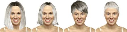 Simulation application coupe de cheveux femme gratuit. Logiciel Pour Simuler Des Coiffures Et Des Couleurs De Cheveux Simulation De Cheveux Gris